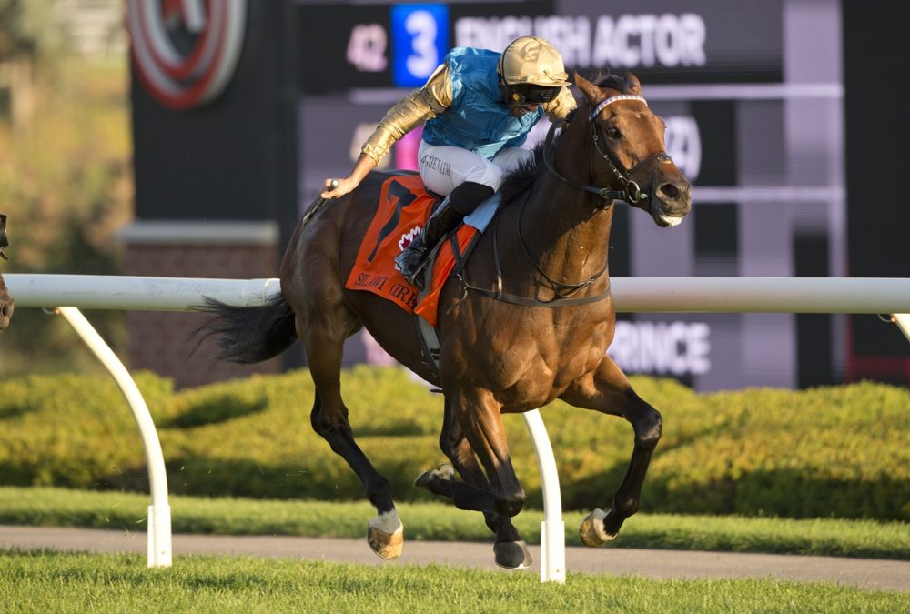 Silawi (IRE) - Grade (I) $750,000 Canadian International at Woodbine - Michael Burns Photo