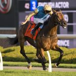 Silawi (IRE) - Grade (I) $750,000 Canadian International at Woodbine - Michael Burns Photo