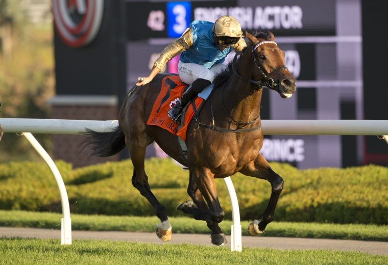Silawi (IRE) - Grade (I) $750,000 Canadian International at Woodbine - Michael Burns Photo