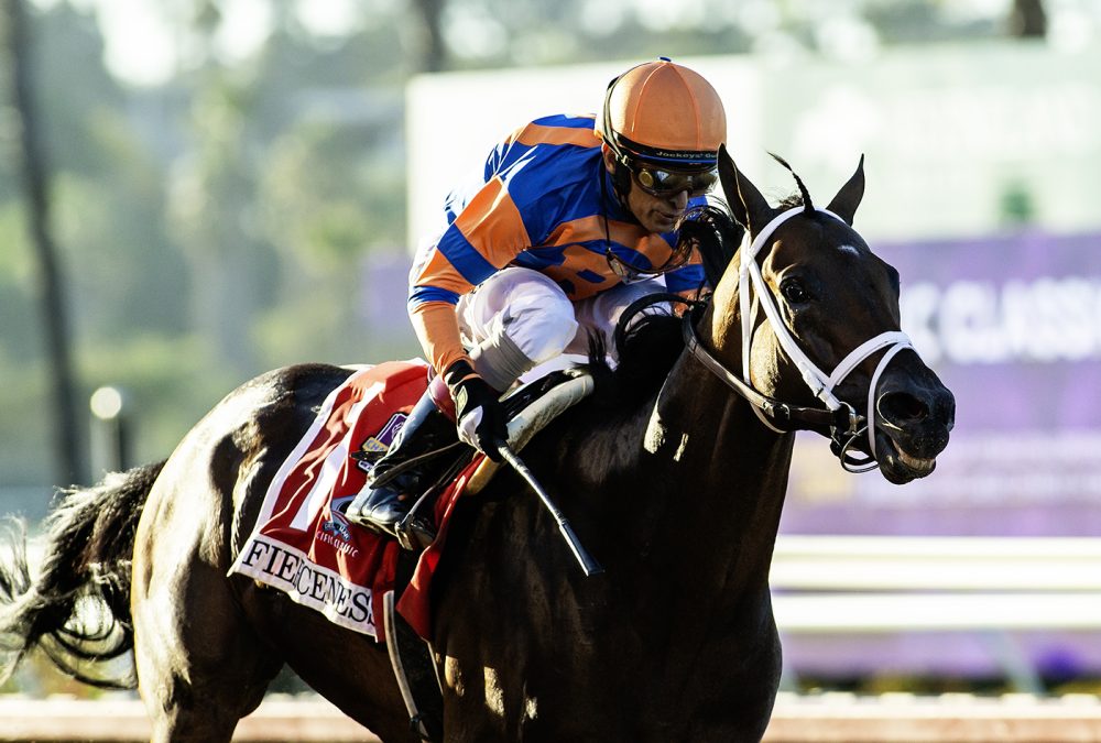 Fierceness at Del Mar Thoroughbred Club © BENOIT PHOTO