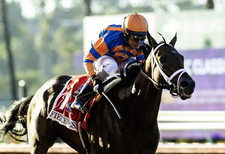 Fierceness at Del Mar Thoroughbred Club © BENOIT PHOTO