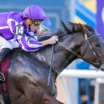 Gstaad - BC Juvenile Turf - Barbara D. Livingston - Daily Racing Form