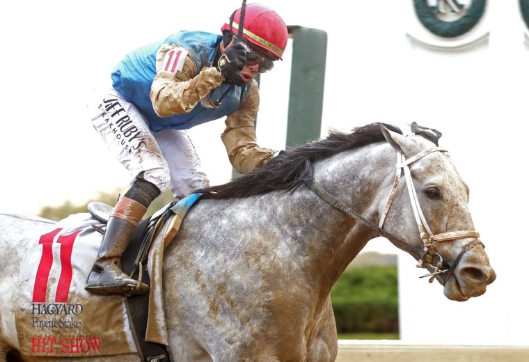 HIT SHOW - The Hagyard Fayette G3 - Keeneland Race Course - Renee Torbit - Coady Media