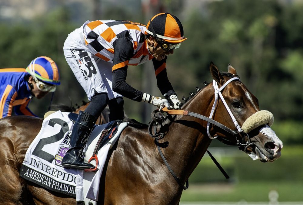 Intrepido - G1 $300,000 American Pharoah Stakes - Santa Anita Park - © BENOIT PHOTO