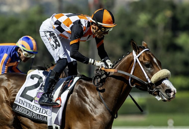 Intrepido - G1 $300,000 American Pharoah Stakes - Santa Anita Park - © BENOIT PHOTO