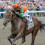 Journalism - credit EQUI-PHOTO