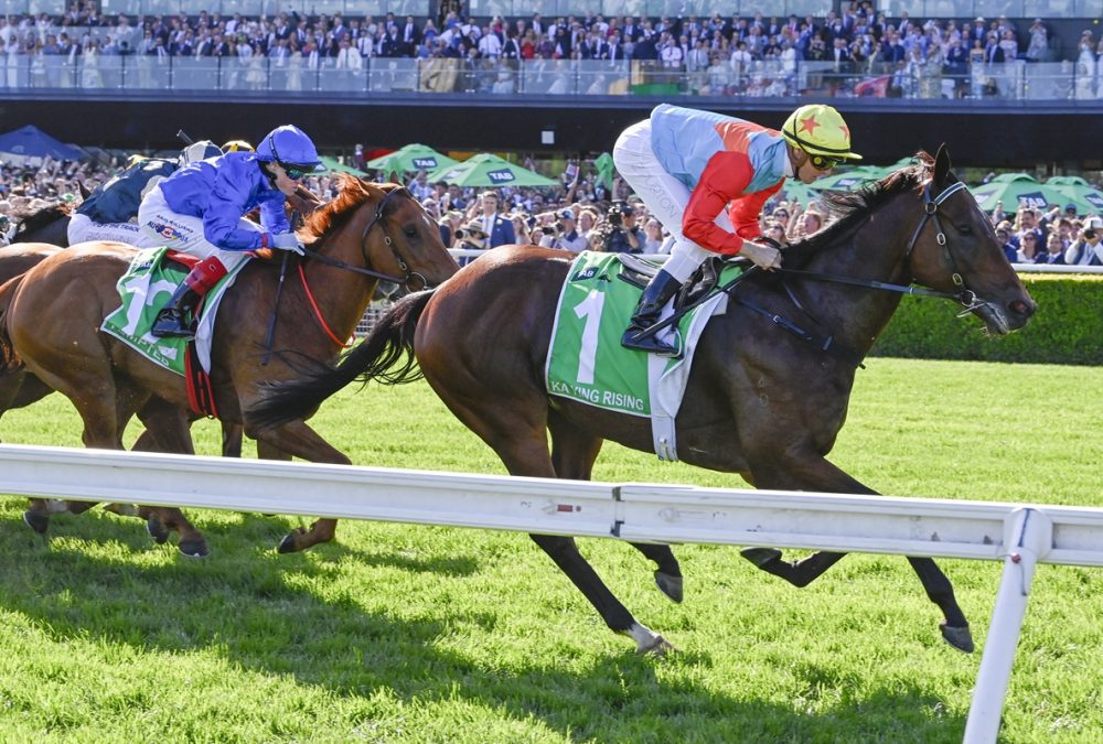 Ka Ying Rising - TAB The Everest G1 - Sky Racing World