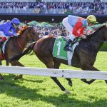 Ka Ying Rising - TAB The Everest G1 - Sky Racing World