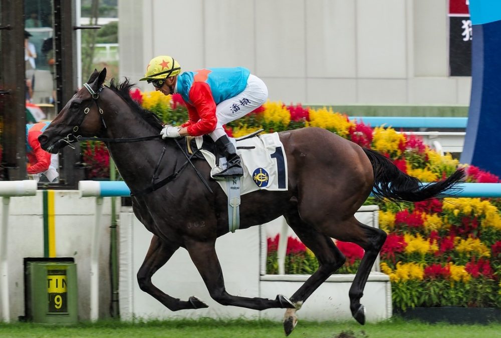 Ka Ying Rising - for editorial purpose only -via Sky Racing-World