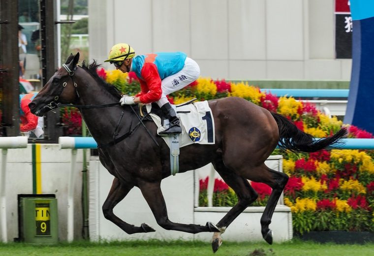 Ka Ying Rising - for editorial purpose only -via Sky Racing-World