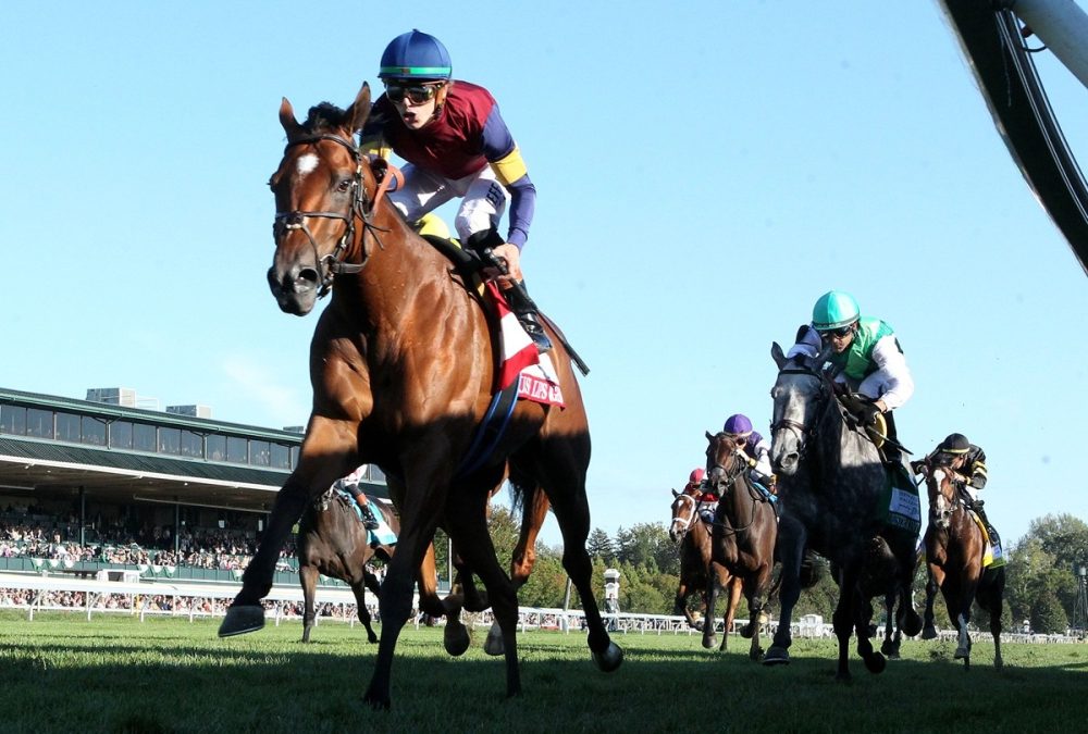 LUSH LIPS - The Queen Elizabeth ll Challenge Cup G1 - 42nd Running - Keeneland Race Course - John Gallagher - Coady Media