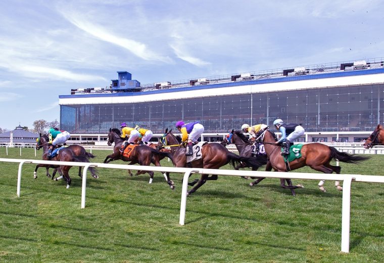 Laurel scenic turf - Jim McCue - MJC
