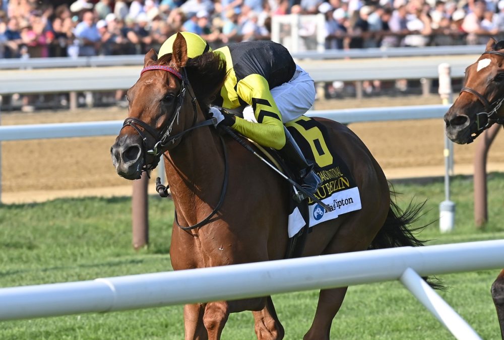 Laurelin - the Saratoga Oaks - credit Chelsea Durand - Coglianese Photo