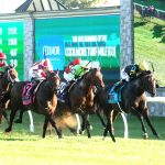 RHETORICAL - The Coolmore Turf Mile G1 - Keeneland Race Course - Renee Torbit - Coady Media