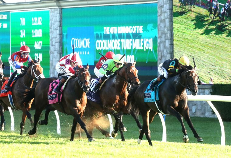 RHETORICAL - The Coolmore Turf Mile G1 - Keeneland Race Course - Renee Torbit - Coady Media