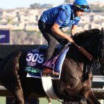 Rebel's Romance - Susie Raisher - Daily Racing Form