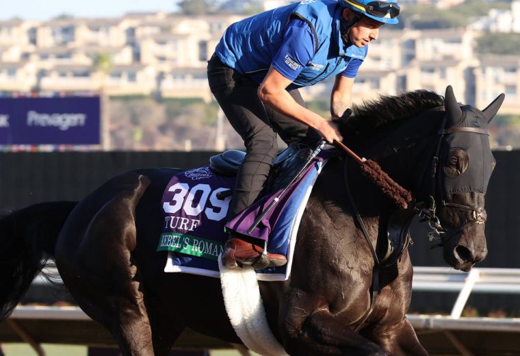 Rebel's Romance - Susie Raisher - Daily Racing Form