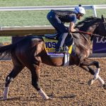 Sierra Leone - Debra A. Roma - Daily Racing Form