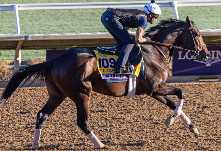 Sierra Leone - Debra A. Roma - Daily Racing Form