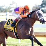 TED NOFFEY - The Claiborne Breeders' Futurity G1 - Keeneland - Cathy Allinikov - Coady Media