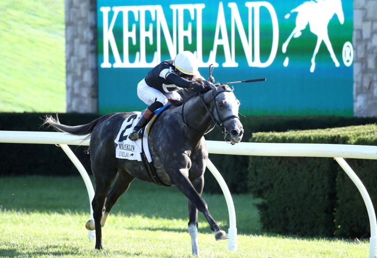 TIME TO DAZZLE - The 29th Running of The Franklin G-II - Keeneland Race Course - Barbara Barclay - Coady Photo