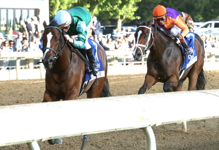 TOMMY JO - The Darley Alcibiades G1 - John Gallagher - Coady Media