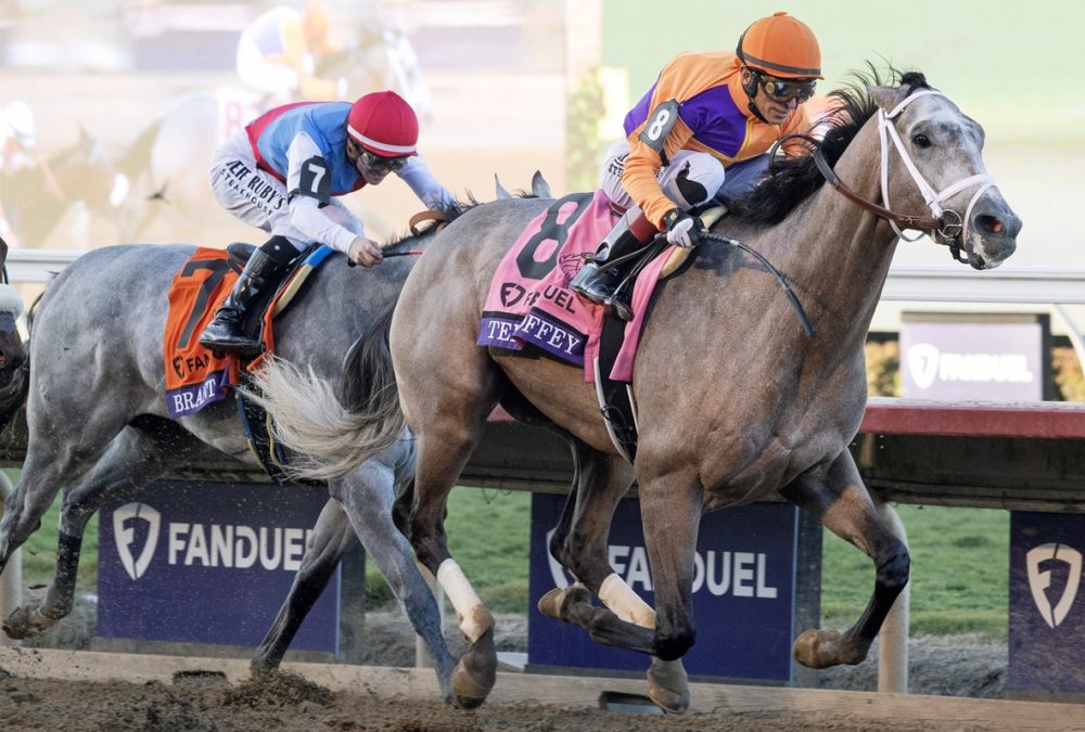 Ted Noffey - BC Juvenile - Barbara D. Livingston - Daily Racing Form