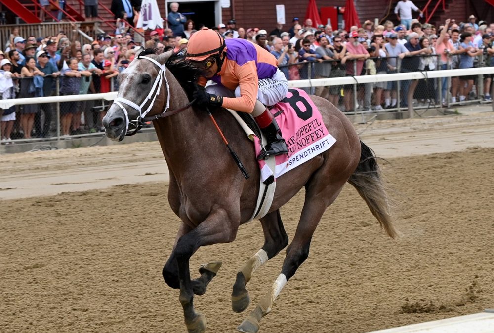 Ted Noffey the Hopeful credit Chelsea Durand - Coglianese Photo