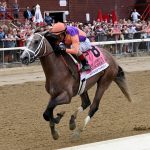 Ted Noffey the Hopeful credit Chelsea Durand - Coglianese Photo