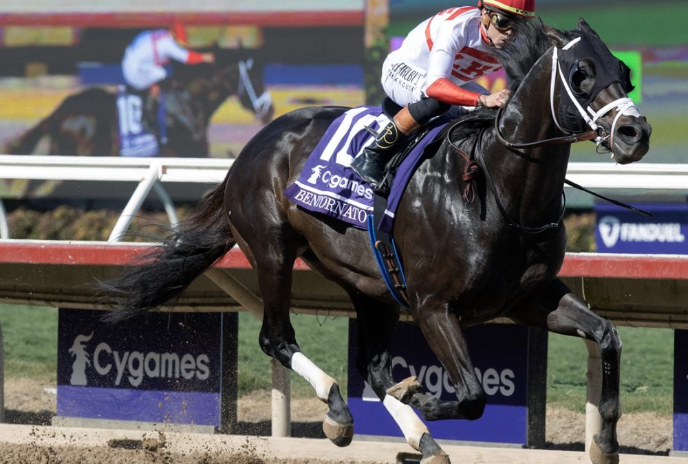 Bentornato - BC Sprint - Barbara D. Livingston - Daily Racing Form