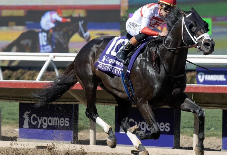 Bentornato - BC Sprint - Barbara D. Livingston - Daily Racing Form