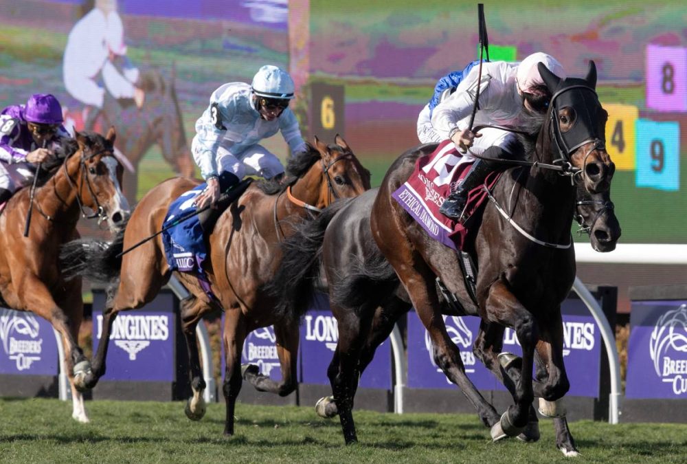 Ethical Diamond - BC Turf - Barbara D. Livingston - Daily Racing Form