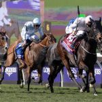 Ethical Diamond - BC Turf - Barbara D. Livingston - Daily Racing Form