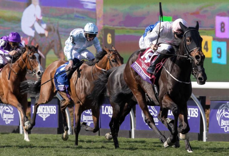 Ethical Diamond - BC Turf - Barbara D. Livingston - Daily Racing Form