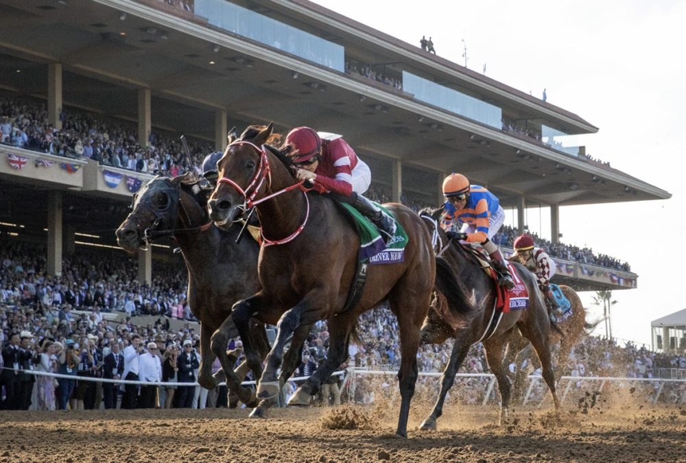 Forever Young - BC Classic - Debra A. Roma - Daily Racing Form