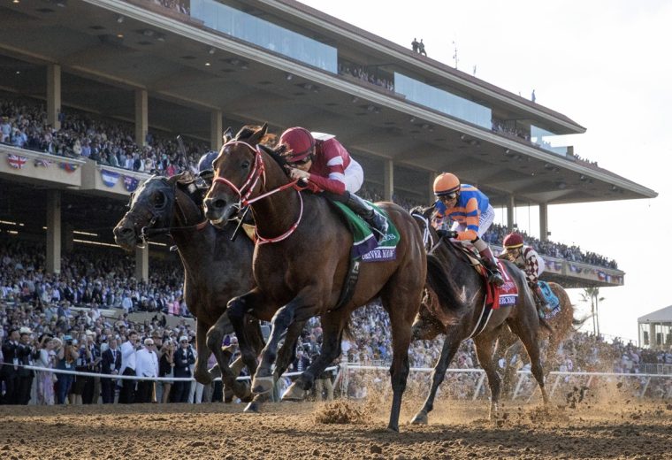 Forever Young - BC Classic - Debra A. Roma - Daily Racing Form