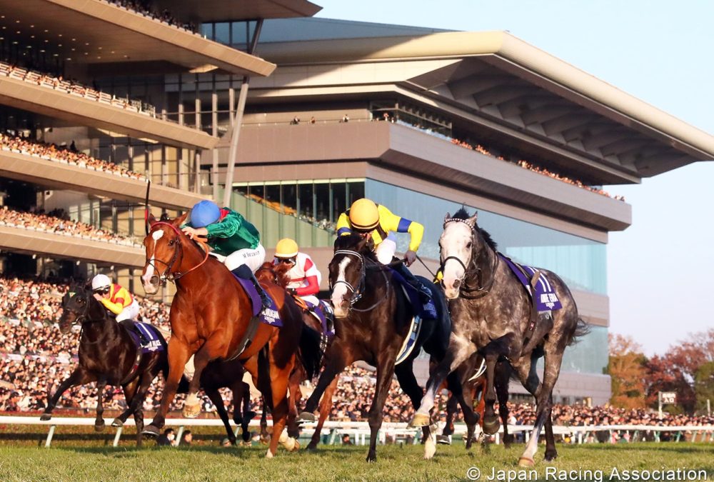 Calandagan - Japan Cup G1 - photo credit Japan Racing Association