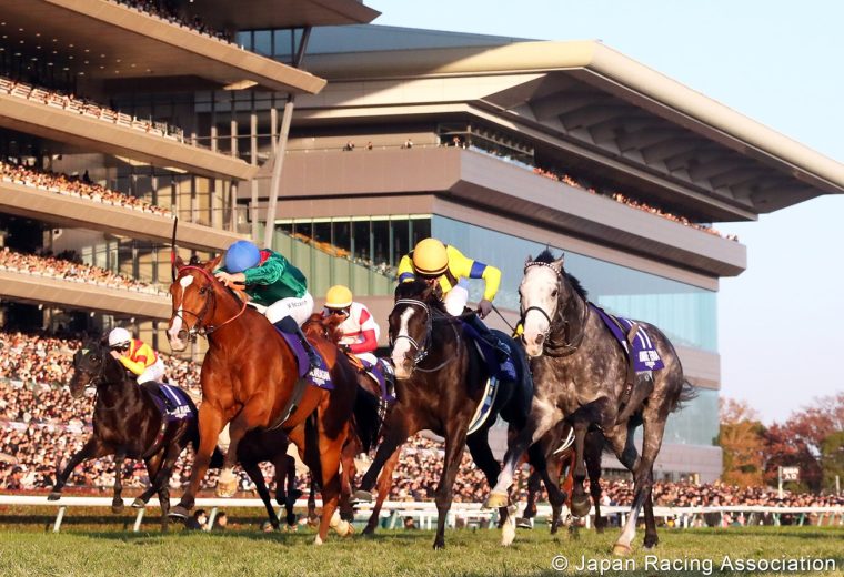 Calandagan - Japan Cup G1 - photo credit Japan Racing Association