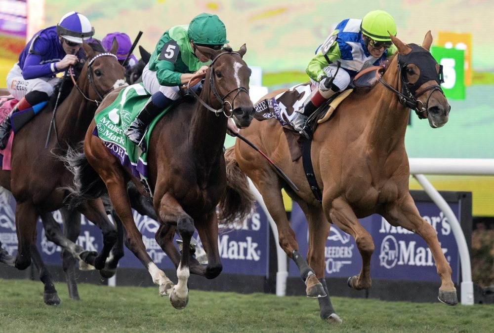 Gezora - BC Filly and Mare Turf - Barbara D. Livingston - Daily Racing Form