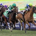 Gezora - BC Filly and Mare Turf - Barbara D. Livingston - Daily Racing Form