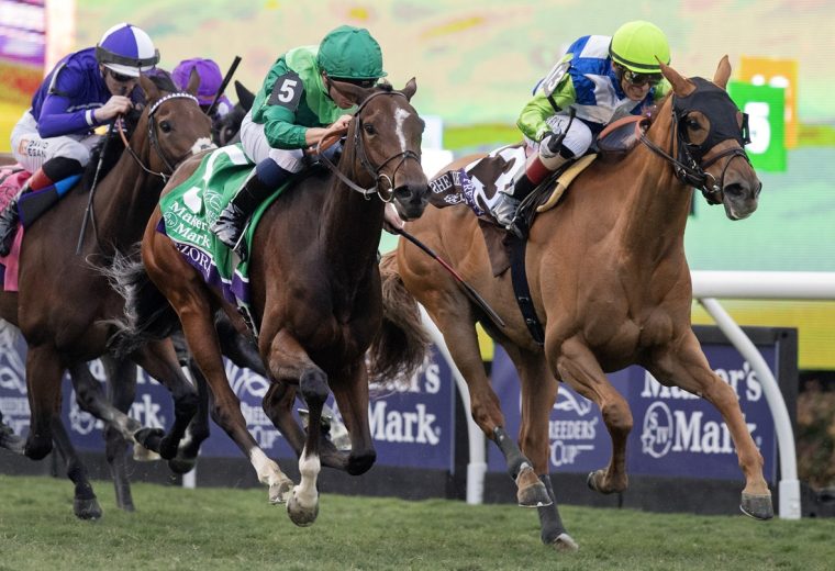 Gezora - BC Filly and Mare Turf - Barbara D. Livingston - Daily Racing Form