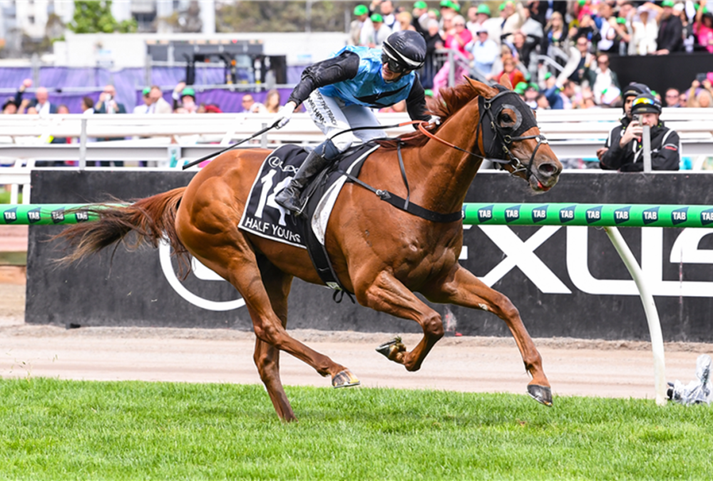 HALF YOURS winning the Lexus Melbourne Cup at Flemington in Australia. Picture: Racing Photos / Sky Racing World