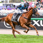 HALF YOURS winning the Lexus Melbourne Cup at Flemington in Australia. Picture: Racing Photos / Sky Racing World