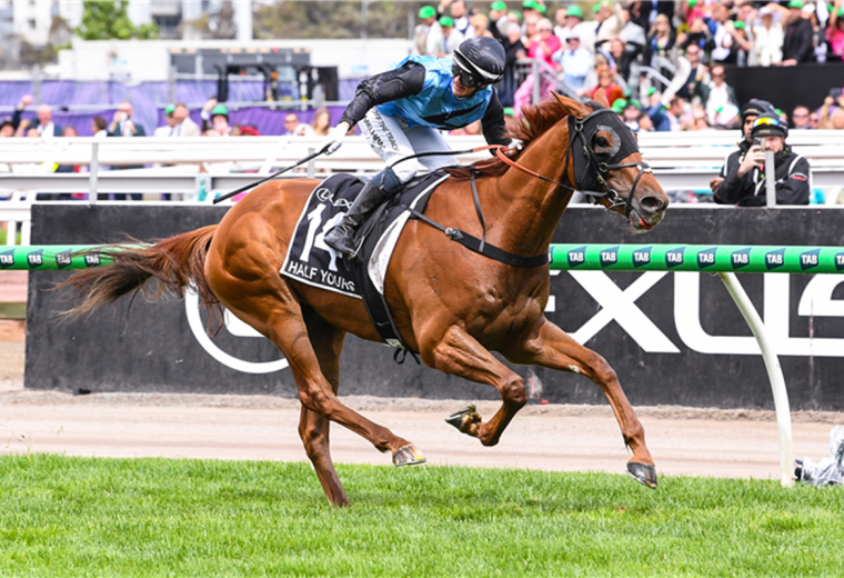 HALF YOURS winning the Lexus Melbourne Cup at Flemington in Australia. Picture: Racing Photos / Sky Racing World