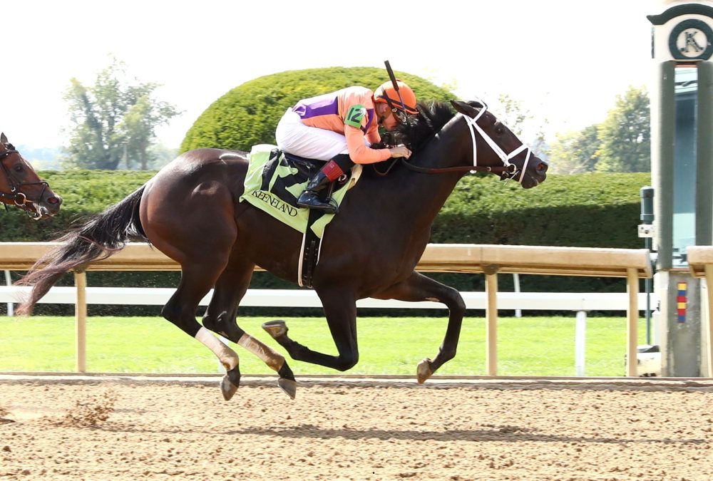 Local Knowledge - Coady Media - Keeneland