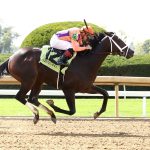 Local Knowledge - Coady Media - Keeneland
