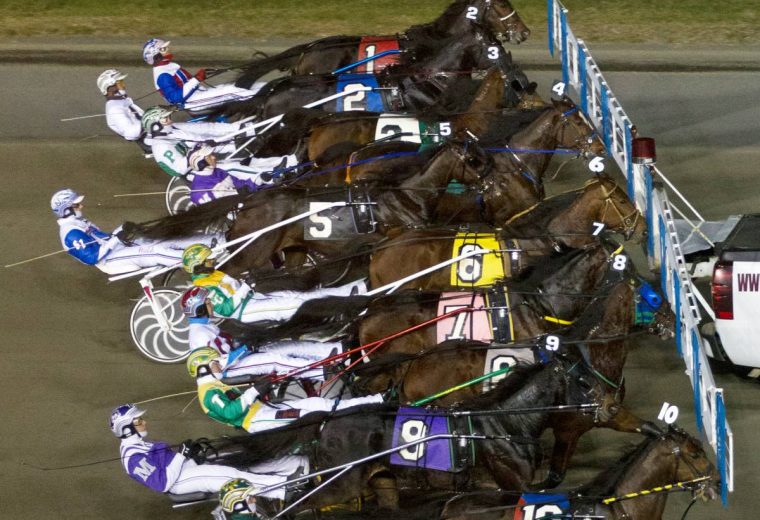 Meadowlands Racing - photo credit Barbara D. Livingston - Daily Racing Form