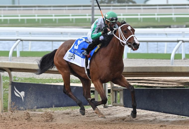 Mythical - Florida Sire My Dear Girl Stakes - Lauren King/Coglianese Photo