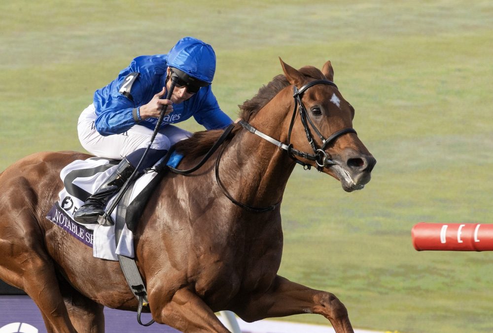 Notable Speech - BC Mile - Barbara D. Livingston - Daily Racing Form