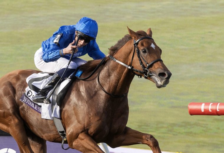 Notable Speech - BC Mile - Barbara D. Livingston - Daily Racing Form